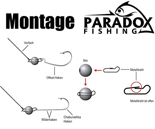Paradox Fishing Cheburashka Lot De 24 Plombs De Plomb (3 G/5 G/7 G/10 G/12 G/14) Avec Boîte (55 Pièces) Pour Hameçons Offset – Dropshot Plomb Drop Shot – Têtes Plombées – Angel Plomb