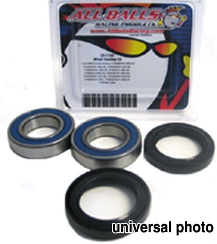 Rear Wheel Bearing Kit - Both Wheels