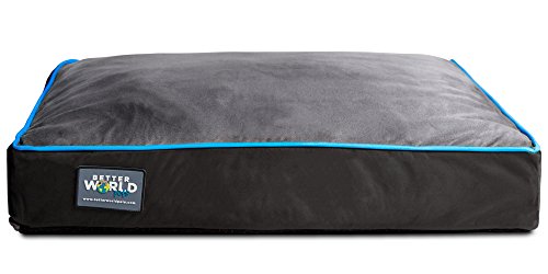 Better World Pets 5-Inch Thick Waterproof Orthopedic Memory Foam Dog Bed with 180 GSM Removable Washable Cover, Small (24" x 18" x 5") (Dogs 1-20 lbs.), Grey with Ocean Blue Trim