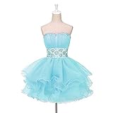 Fashion Plaza Crystal Sequined Mini Short Dress D0130