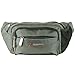 alpine swiss Men's Fanny Pack Travel Case Adjustable Belt Sport Pouch Waist Bag, Gray, One Size