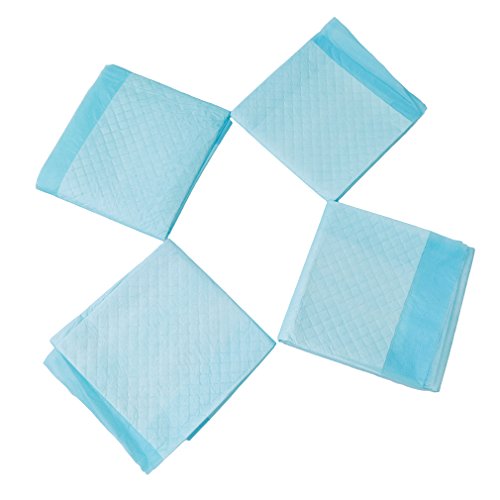Rurah Pet Training and Puppy Pads Pet Diaper Packing of 5,M