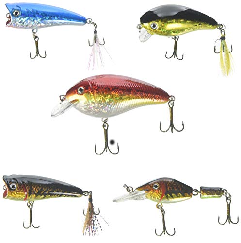 Akuna Seasonal Lures For Bass Fishing For Each Of Usa | Desertcart Gambia Akuna Seasonal Lures For Bass Fishing For Each Of Usa | Desertcart Gambia