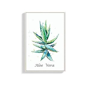 Framed Canvas Wall Art for Living Room, Bedroom Aloe Canvas Prints for Home Decoration Ready to Hang - 16x24 inches