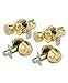 Lion Locks LICO0705 Tulip Style Keyed Alike Door Knob and Deadbolt Set, Polished Brass, 2-Pack