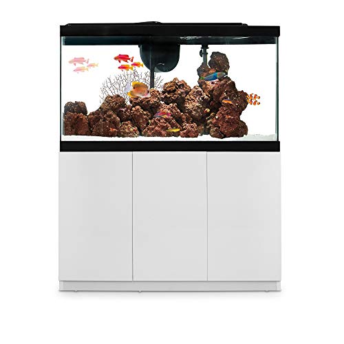 Imagitarium White Gloss Fish Tank Stand, Up to 55 Gal, 47.5 in