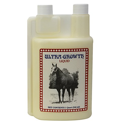 Top 10 Horse Supplements Muscle of 2019 No Place Called Home