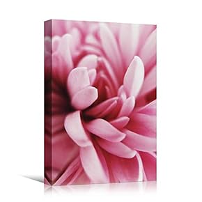 signwin Canvas Wall Art Pink Petal Close Up...