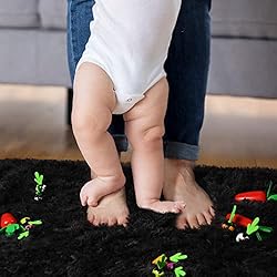 PAGISOFE Fluffy Shaggy Area Rug, 5x8 Feet, Soft