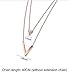 Tanyoyo Women Gold Plated Stainless steel Pendant Chain Necklace Chic Triangular Y Shaped Design