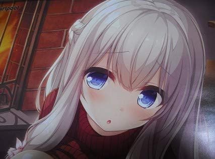 Amazon ピーシーズ Pieces 渡り鳥のソムニウム 暖炉 君原結愛描き下ろしポスター水鏡まみず イラスト Pcゲーム Whirlpool 電気外祭り 19 アニメ 萌えグッズ 通販