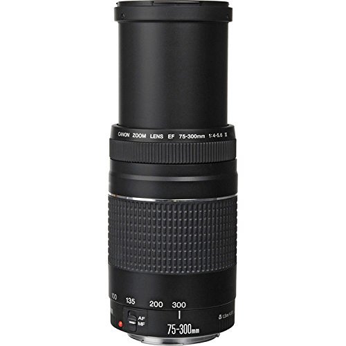 Canon EF 75-300mm f/4-5.6 III Zoom Lens for Canon EOS 7D, 60D, EOS Rebel SL1, T1i, T2i, T3, T3i, T4i, T5i, XS, XSi, XT, XTi Digital SLR Cameras + RADIO ELECTRONICS USA Micro Fiber Cleaning Cloth