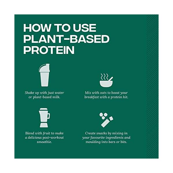 Reflex-Nutrition-Plant-Based-Vegan-Protein-with-B12-Great-Taste-Vegan-Protein-Wild-Berry-600g Reflex Nutrition Plant Based Vegan Protein Powder with B12 | Great Taste | (Wild Berry, 600g)