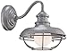 Franklin Iron Works Franklin Park Rustic Industrial Farmhouse Vintage Outdoor Barn Light Fixture Galvanized Steel Open Cage 13