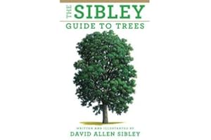 The Sibley Guide to Trees (Flexibound) By David Allen Sibley