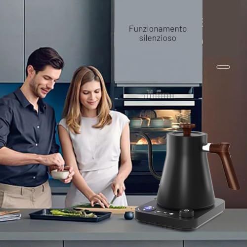Electric Kettle Gooseneck Temperature Control, Electric Pouring Kettle for Coffee and Tea with LCD Screen Timer, Powerful and Fast Kettle, Kettle for