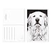 36 Pack Animal Postcards Bulk Set - Black & White Rescue Dog Portraits - 6 Assorted Compawssion Photograph Designs - 4 x 6 Inches