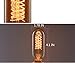 INNOCCY Edison Light Bulb, 40W E26 E27 Vintage Bulb Dimmable T45 Antique Tubular Light Bulb, 2300K, Pack of 6