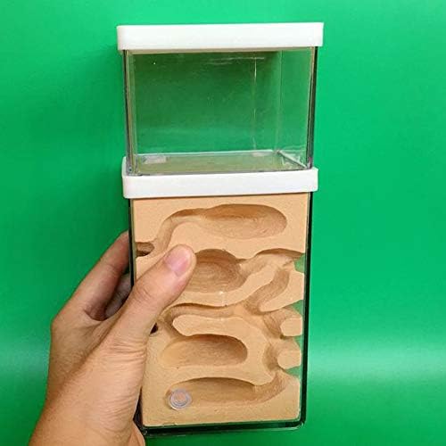 toy ant farm