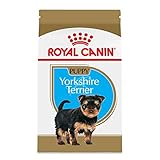 Royal Canin Yorkshire Terrier Puppy Breed Specific Dry Dog Food, 2.5 lb. bag
