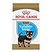 Royal Canin Yorkshire Terrier Puppy Breed Specific Dry Dog Food, 2.5 lb. bag primary