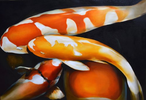 Midnight Koi