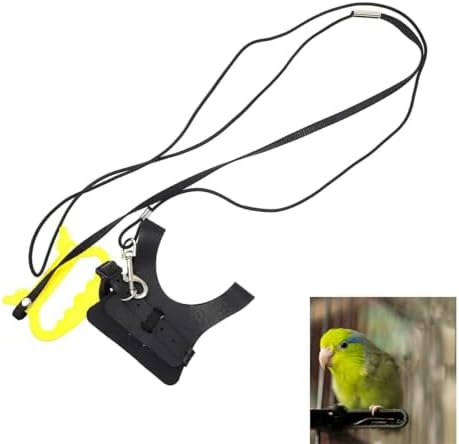 Aputue Parrot Bird Harness Leash, Bird Nylon Rope with Cute Wing for ...