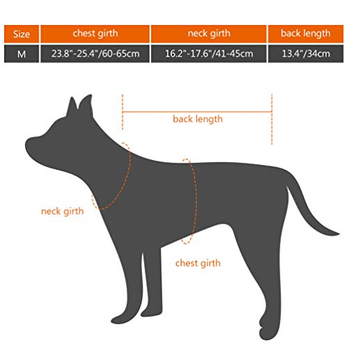 Petacc Dog Life Jacket Pet Floatation Vest Dog Lifesaver Dog Life Preserver for Water Safety at The Pool, Beach, Boating (M, Shark) (Shark Life Jacket)