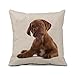 Pug Dog Decorative Throw Pillow Covers Cotton Linen Square Cushion Covers Animal Puppy Pillow Cases for Sofa Couch Home Decor 18x18 Inch