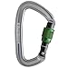 Black Diamond Positron Screwgate Carabiner