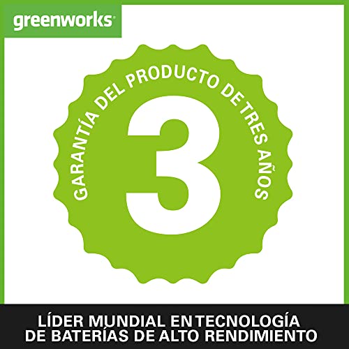 G24PW Hidrolimpiadora de Mano Inalámbrica, 24Bar, 180L/h, Botella de Detergente de 300W y Manguera de Sifón de 6 m, SIN Batería o Cargador de 24V, Garantía de 3 Años