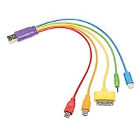 ComputerGear Rainbow Cell Phone Mini Micro USB 30 pin Lightning Nokia Adapter Cables - 1 CT