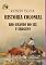 Livro Historia Colonial- Rio Grande Do Sul Y Uruguay