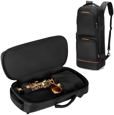 Amazon.com: BAM! gig bag for tenor saxophone BAMTECH BAMTECH