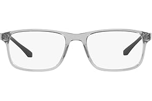 Emporio Armani mens Ea3098 Rectangular Sunglasses