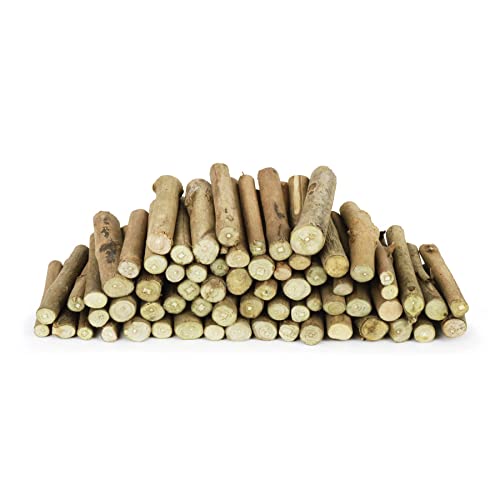 Wooden branch stumps | 250 gram pack (Approximately 60 stumps) | Natural crafts