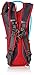 Camelbak 2016 Rogue Hydration Pack, Racing Red, 70-Ounce
