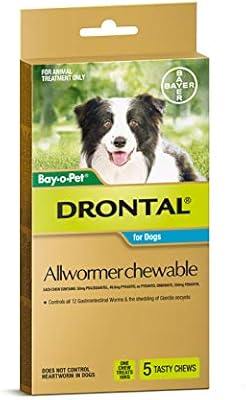 drontal dog wormer amazon