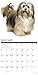 Havanese 2019 Wall Calendar