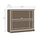 Sauder Miscellaneous Storage 2-Shelf Bookcase/ book shelf, Estate Black finish
