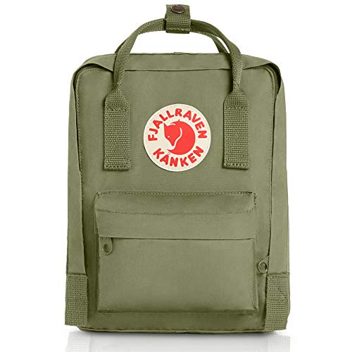 kanken mini back