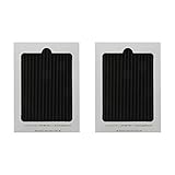Electrolux EAFCBF-2PK Air Filter (Pack of 2)