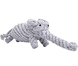 EXPAWLORER Cotton Dental Teaser Puppy Pet Chew Rope Toys for Small Dog Biting 11-inch,Elephant