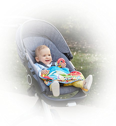Fisher-Price On-The-Go Activity Throw
