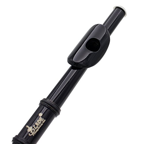 Andoer Piccolo Ottavino Half-size Flute Silver Plated C Key Cupronickel with Cleaning Cloth Screwdriver Padded Box (Black)