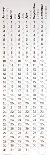 Bubble-Wrap-Calendar-A-Poster-Sized-Wall-Calendar-with-a-Bubble-to-Pop-Everyday