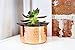 Alchemade 100% Pure Hammered Copper Planter (3