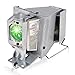LBTbate BL-FP190E/SP.8VH01GC01 Replacement Projector Lamp for Optoma HD141X HD26 GT1080 GT1080darbee HD29darbee W316 BR323 BR326 DH1009 H182X S316 X316 X312 DW333 DW345 Projector Lamp with Housing