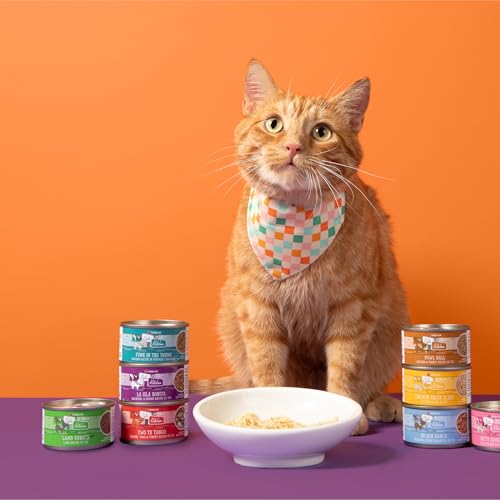 WERUVA CATS IN THE KITCHEN, KITTY GONE WILD WITH WILD SALMON AU JUS CAT FOOD, 3.2OZ CAN (PACK OF 24)