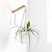 Mkono Macrame Wall Mount Hanging Plant Holder Planter Flower Pot Hanger